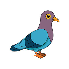  Charming Christmas Island Imperial Pigeon Illustration