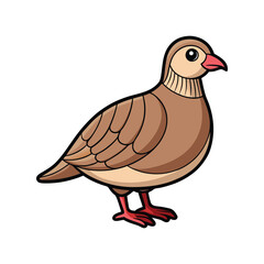  Dynamic Chukar Partridge Bird Artwork