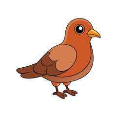  Vivid Cinnamon Ground Dove Bird Design