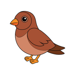  Realistic Cinnamon Quail Thrush Bird Illustration