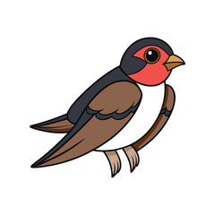  Cliff Swallow Bird Colorful Artwork