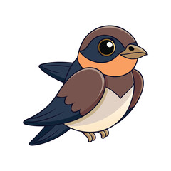  Realistic Cliff Swallow Bird Illustration