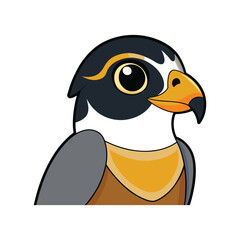  Realistic Collared Falconet Bird Illustration