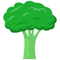 Vegetables Illustration