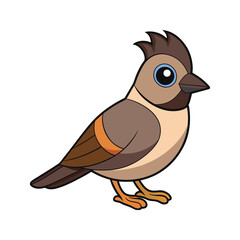  Realistic Common Bulbul Bird Illustration