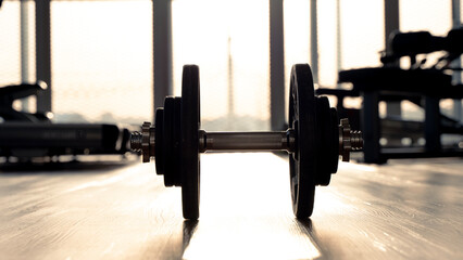 Barbell or dumbbell in the gym