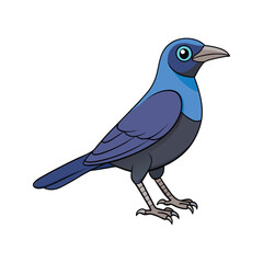  Common Grackle Bird Realistic Art