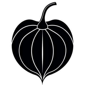 recommend clip art: Cape gooseberry physalis silhouette illustration. 