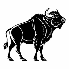 buffalo sihouette black vector © mst