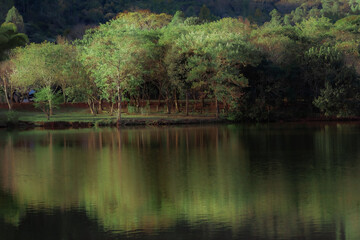 Obraz premium Three trees reflection on a river.