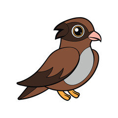  Realistic Common Nighthawk Bird Illustration