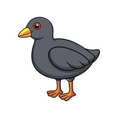  Common Moorhen Bird Realistic Art