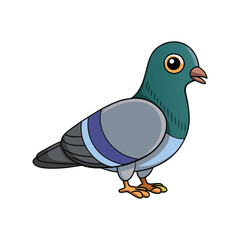  Realistic Common Pigeon Bird Illustration