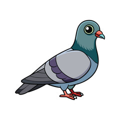  Common Pigeon Bird Colorful Artwork