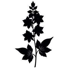 Delphinium silhouette-illustration-on-white-background.