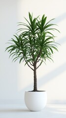 Obraz premium Elegant houseplant with vibrant green leaves in a modern white pot, creating a fresh and airy atmosphere against a minimalist background.