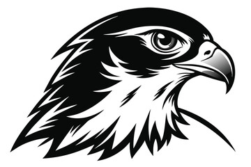Sharp Falcon Head with Intricate Black and White Feather Details Design