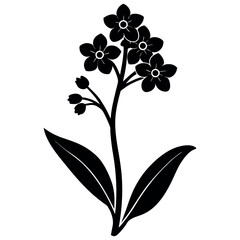 Black silhouette of a plant