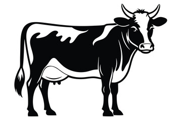Black and White Holstein Cow