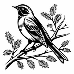 bush warbler black silhouette icon vector
