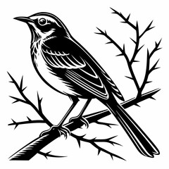 bush warbler black silhouette icon vector