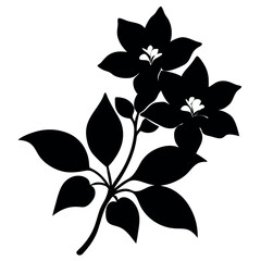 Jasmine silhouette illustration on-white-background.