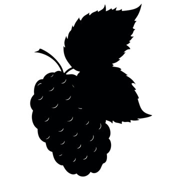 black blackberry fruit leaves silhouette clip art preview
