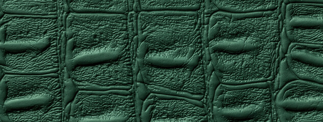 Crocodile skin, dark green leather texture background, closeup. Emerald reptile textile, macro.