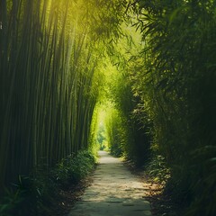 Peaceful Bamboo Forest Path in Natural Mystic Setting High Resolution Wallpaper