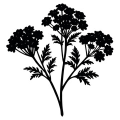vector silhouettes of trees