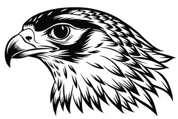 Detailed Falcon Head Vector, Majestic Bird, Black and White Isolated on White