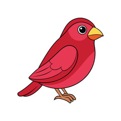  Crimson Finch Bird Realistic Illustration