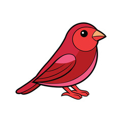  Bright Crimson Finch Bird Artwork