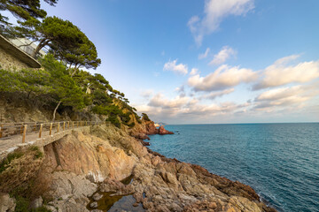 Fototapeta premium A rocky shoreline with a small beach and a cliff overlooking the ocean