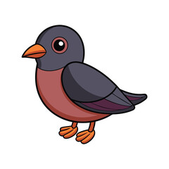  Stunning Dark-bellied Cinclodes Bird Illustration