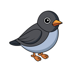  Charming Dark-eyed Junco Bird Design