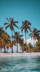 Clear Blue Skies Over Beautiful Beach with Palm Trees Sunset