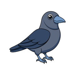  Stunning Daurian Jackdaw Bird Illustration