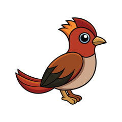  Vivid Diederik Cuckoo Bird Design