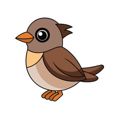  Realistic Eastern Phoebe Bird Illustration