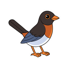  Eastern Towhee Bird Colorful Artwork