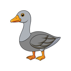  Realistic Emperor Goose Bird Illustration