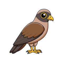  Eurasian Sparrowhawk Bird Realistic Illustration