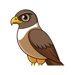  Vivid Eurasian Sparrowhawk Bird Design