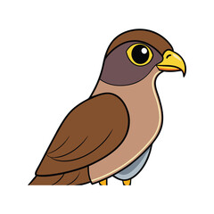  Bright Eurasian Sparrowhawk Bird Artwork