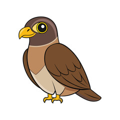  Stunning Eurasian Sparrowhawk Nature Illustration
