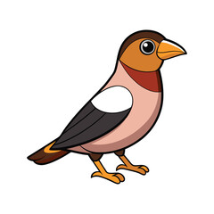  Bright Evening Grosbeak Bird Artwork