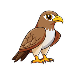  Vivid Ferruginous Hawk Bird Design