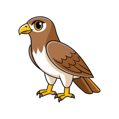  Ferruginous Hawk Bird Realistic Illustration