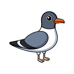  Stunning Franklin's Gull Nature Illustration